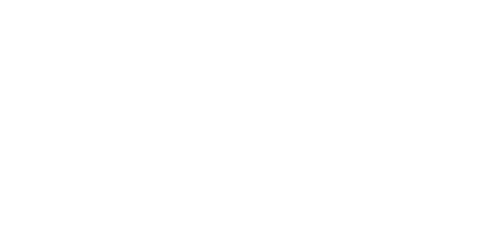Dr. Lisa Toppin